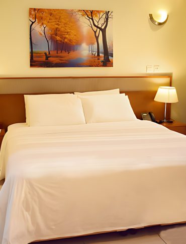 Standard Rooms